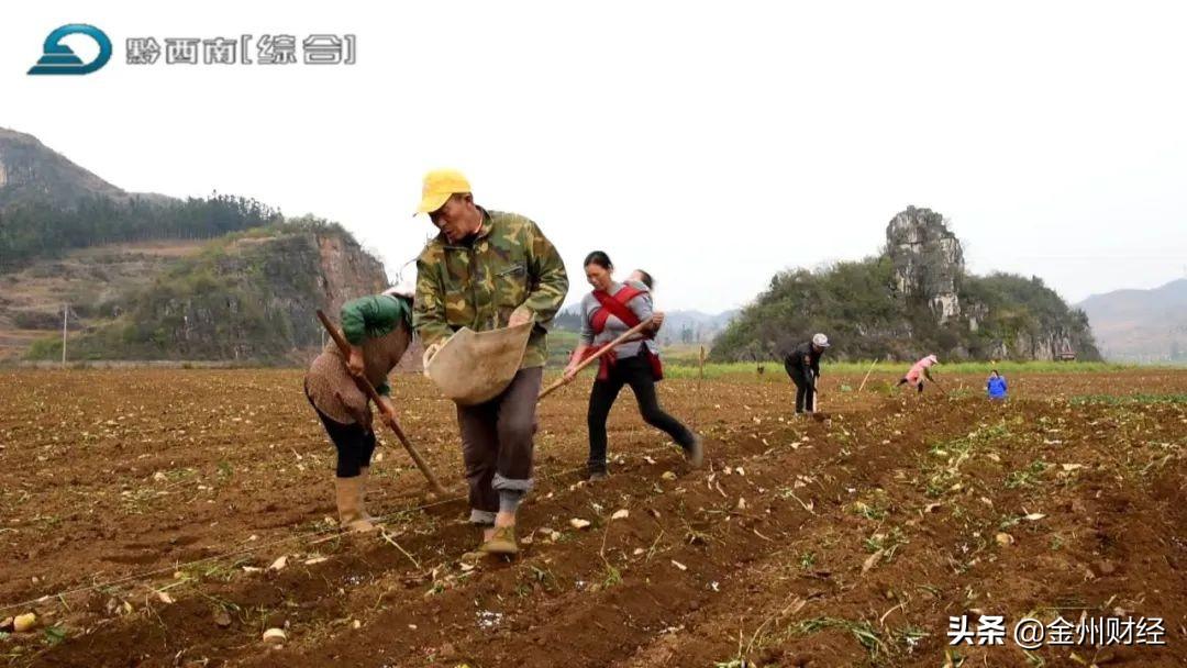 最新興仁下山鎮(zhèn)視頻，揭示一個(gè)美麗而充滿活力的鄉(xiāng)村面貌