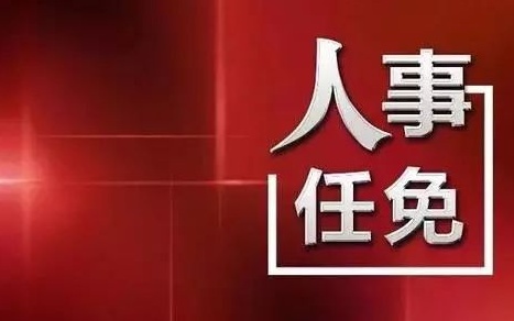 中央最新人事任免，蔡某某的新職務(wù)與未來(lái)展望