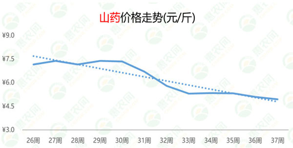 山藥價格最新行情