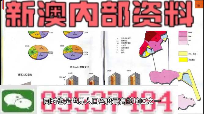 新澳門正版精準(zhǔn)免費大全與平衡釋義，探索、實踐、落實