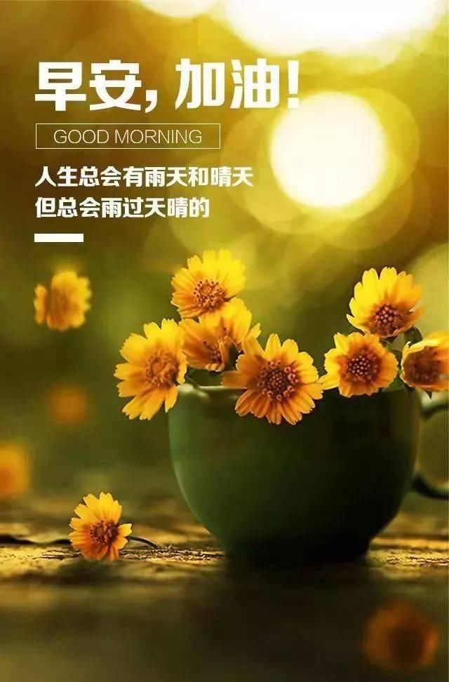 最新早安勵(lì)志語錄帶圖，開啟充滿活力的每一天