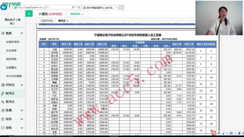 最新酒店會計賬務(wù)處理，提升效率與精確性的關(guān)鍵策略